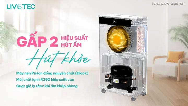 may-hut-am-livotec-lhd-25ih-gap-2-hieu-suat-hut-am.jpg
